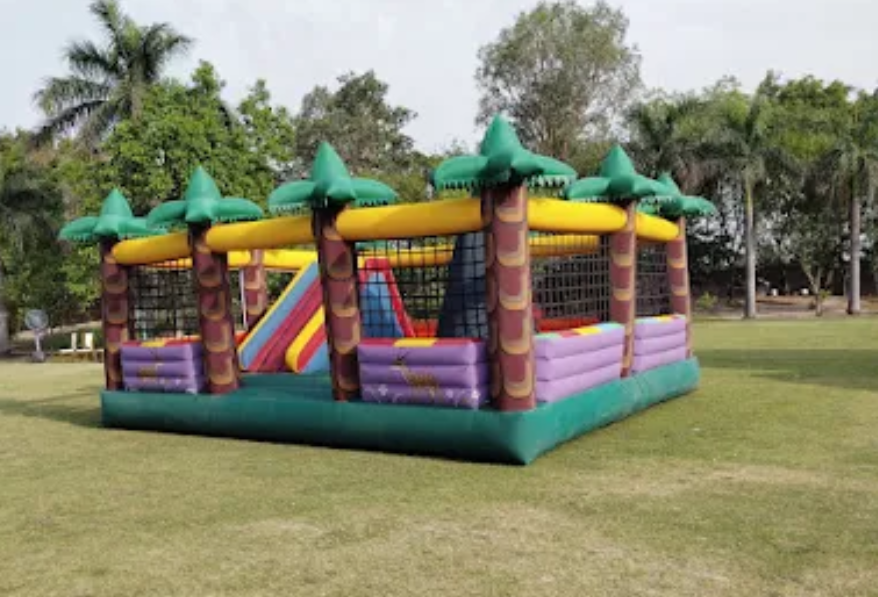 Jungle Bouncy
