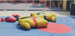 Sumo Fight