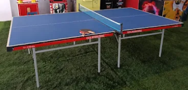Table Tennis Game