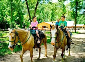 Horse Ride