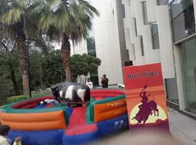 Mechanical Bull Ride