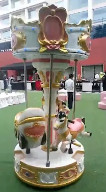 Carousel Ride