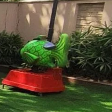 Fish Ride
