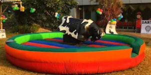 Mechanical Bull Ride