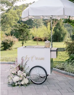 Ice Cream Cart