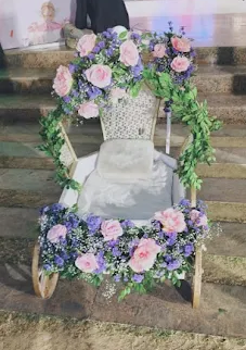 Baby Entry Cart